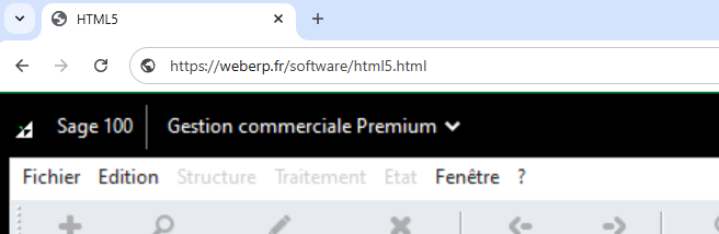 Erp en mode web